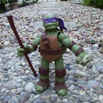 Teenage Mutant Ninja Turtles