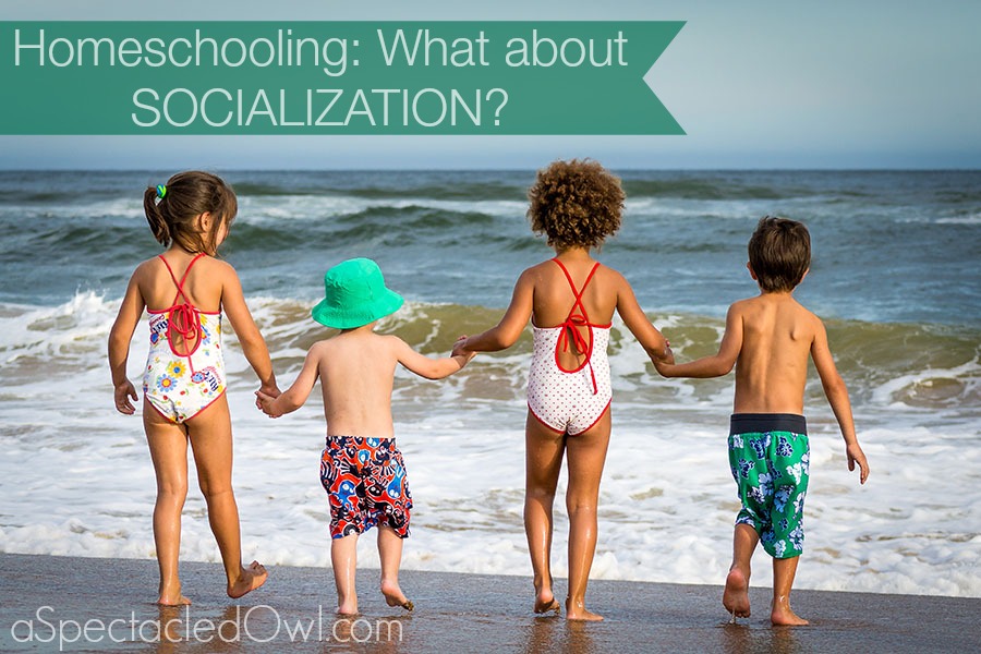 Homeschooling Socialization