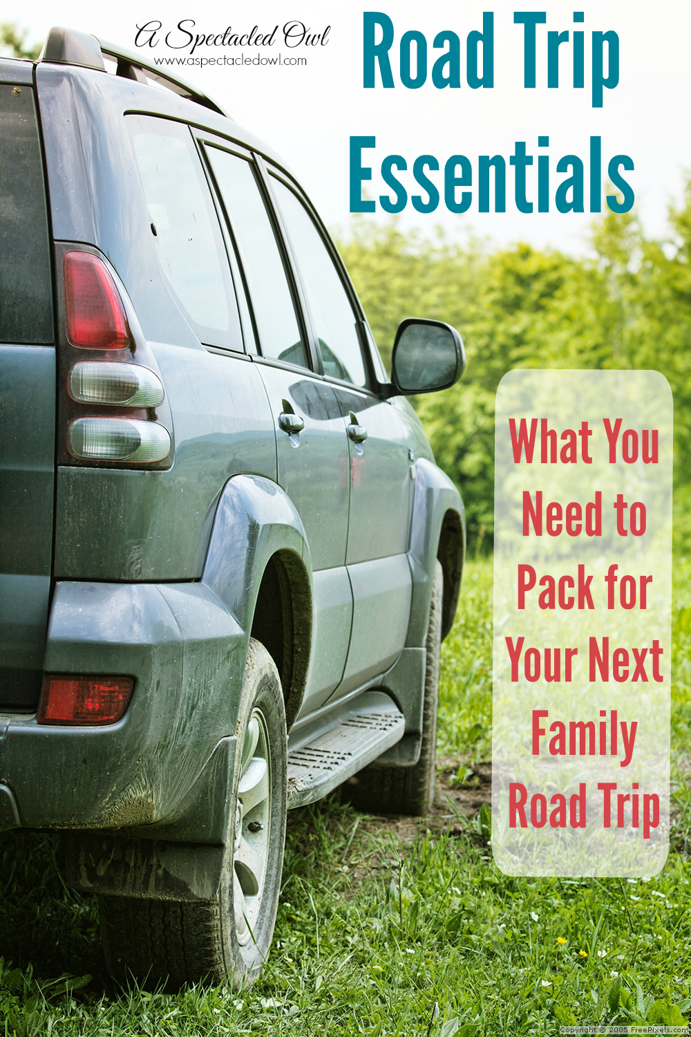 Here is a list of Road Trip Essentials to get you started so you don't forget anything important at home!
